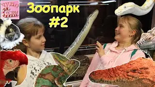 Зоопарк экзотических животных, часть 2. Zoo of exotic animals part 2.