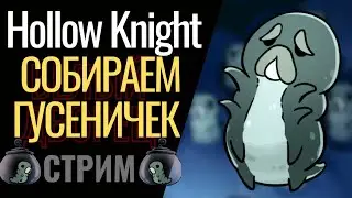Hollow Khight|СТРИМ|ГУСЕНИЧКИ|SUPER_BRAIN