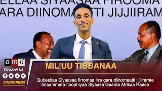 OMN-Mil'uu Tibbanaa Qubeellaa Siyaasaa firromaa irra gara diinomaatti jijjiiramte (Fulbaana 8, 2024)