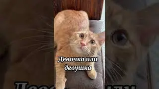 C 8 Марта!
