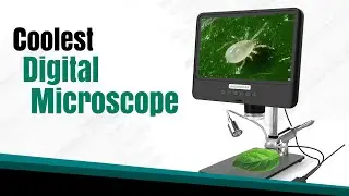 Andonstar AD208 Digital Microscope Review for Teachers