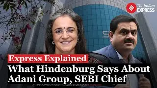 Hindenburg Report Explained: What Hindenburg Says About Adani Group, SEBI Chief