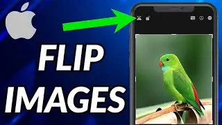 How To Flip an Image On iPhone