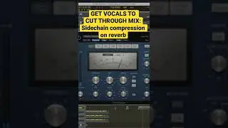 Prevent reverb from making muddy vocals with sidechain compression