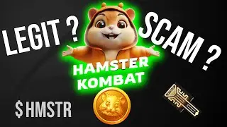 HAMSTER KOMBAT, IS IT A SCAM ? 