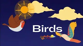 Birds | Learning Video