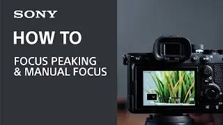 Using Focus Peaking on your Sony Camera