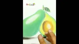 DRAWING REALISTIC AVOCADO