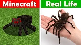 MINECRAFT SPIDER IN REAL LIFE! Minecraft vs Real Life animation CHALLENGE