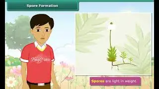 Spore Formation