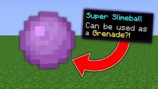 Minecraft, But There Are Custom Slimeballs...