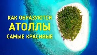 Что такое АТОЛЛ? Как образуются атоллы.