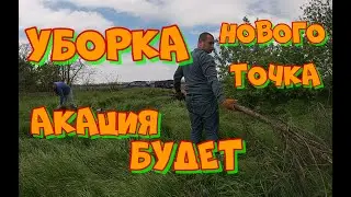 Уборка нового точка. Акация будет  (радует появление завязи)