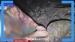 Heroes rescue dog stranded in cave | Morning in America