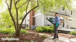 Spring Green Mosquito Control | Spring Green