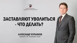 Заставляют уволиться по собственному желанию