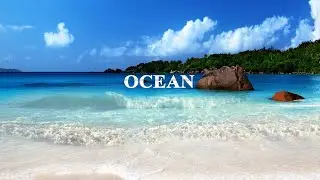 🌊 Ocean Waves Sound Relaxation Music, Deep Meditative for Harmony of Inner Peace and Restful Night🎼