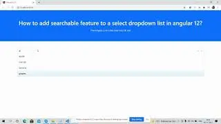 How to add searchable feature to a select dropdown list in angular 12?