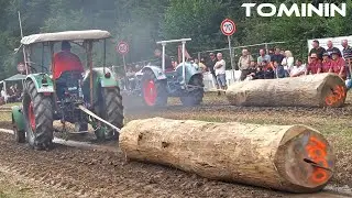 Tractor Pull | Oldtimer-Traktor-Baumstammziehen in Schaufling 2024 🚜 Video 1/2