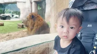 Ke Bali Zoo