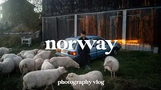 Norway Road Trip | Exploring Mountains, Farm Stays, and Chasing the Northern Lights!