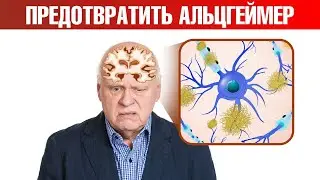 Генетическая предрасположенность к болезни Альцгеймера?