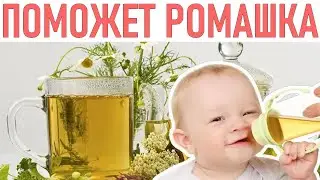 РОМАШКА ЛУЧШЕЕ НАРОДНОЕ СРЕДСТВО ДЛЯ ГРУДНИЧКОВ