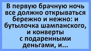 Анекдоты смешные до слез! Сборник! Юмор, смех, позитив!