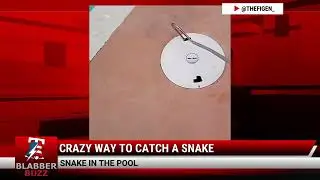 Crazy Way To Catch A Snake