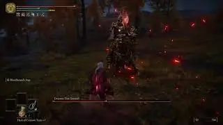 Elden Ring Whip Only Run