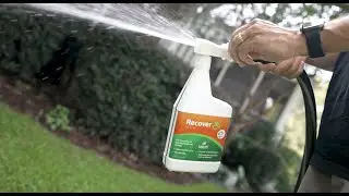 Lawnifi Recover: Nutrients That Fight Off Stress for Your Lawn