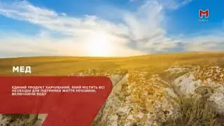 Рекламная заставка (Мега [Украина], 14.09.2023) Мед