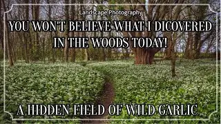 "You won't believe what I discovered in the woods today!