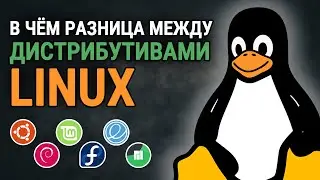 В чем разница между дистрибутивами Linux, если они все Linux?