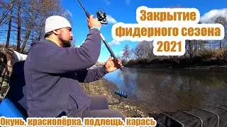 Закрытие фидерного сезона 2021. Няньга. Окунь, краснопёрка, подлещь, карась.