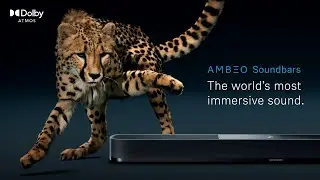 AMBEO Soundbars: The World's Most Immersive Sound | Sennheiser