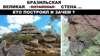 Пень гигантского доисторического дерева и следы протоцивилизации ?