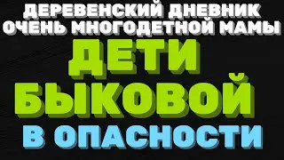 ДЕРЕВЕНСКИЙ ДНЕВНИК очень многодетной мамы\мать героиня\ дети блогера Быковой в опасности