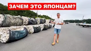 Зачем японским рыбакам это?!