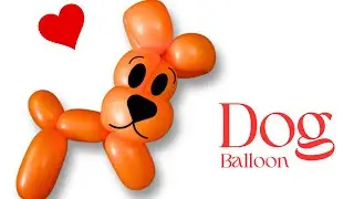 Dog: Balloon Animals for Beginners