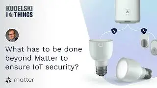 What Has to be Done Beyond Matter to Ensure IoT Security?