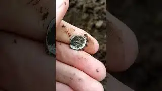 #коп