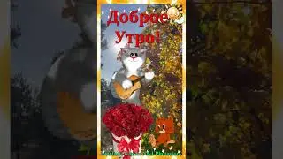 Классная Песня! Послушайте! С Добрым Утром! Хорошего Дня! #доброеутро#shorts_video_2023