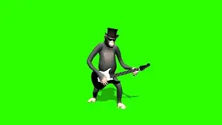 Monkey Playing Guitar #1  / Green Screen - Chroma Key