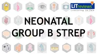 Group B Streptococcus GBS Infections in Neonates