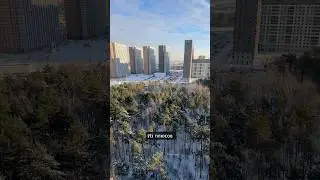 СТОИТ ЛИ ПОКУПАТЬ КВАРТИРУ В ЖК ПИК?