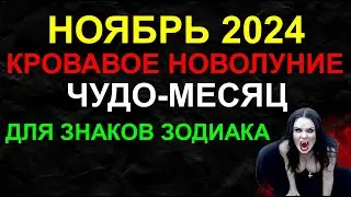 🔴 ПРОГНОЗ НА НОЯБРЬ 2024. НОВОЛУНИЕ В СКОРПИОНЕ. ЧУДО-МЕСЯЦ СИЛЫ. ДЛЯ ВСЕХ ЗНАКОВ ЗОДИАКА 👍🔥