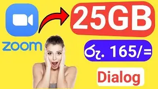 zoom package dialog| dialog 165 package