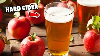 HARD CIDER FOR BEGINNERS (make it at home!)