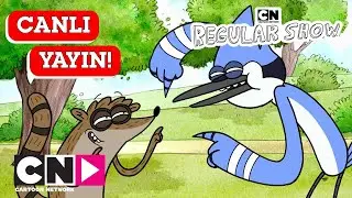 🔴 CANLI 🔴 |  SÜREKLİ DİZİ | 6. SEZON | OFF AIR WEB ÖZEL YAYIN